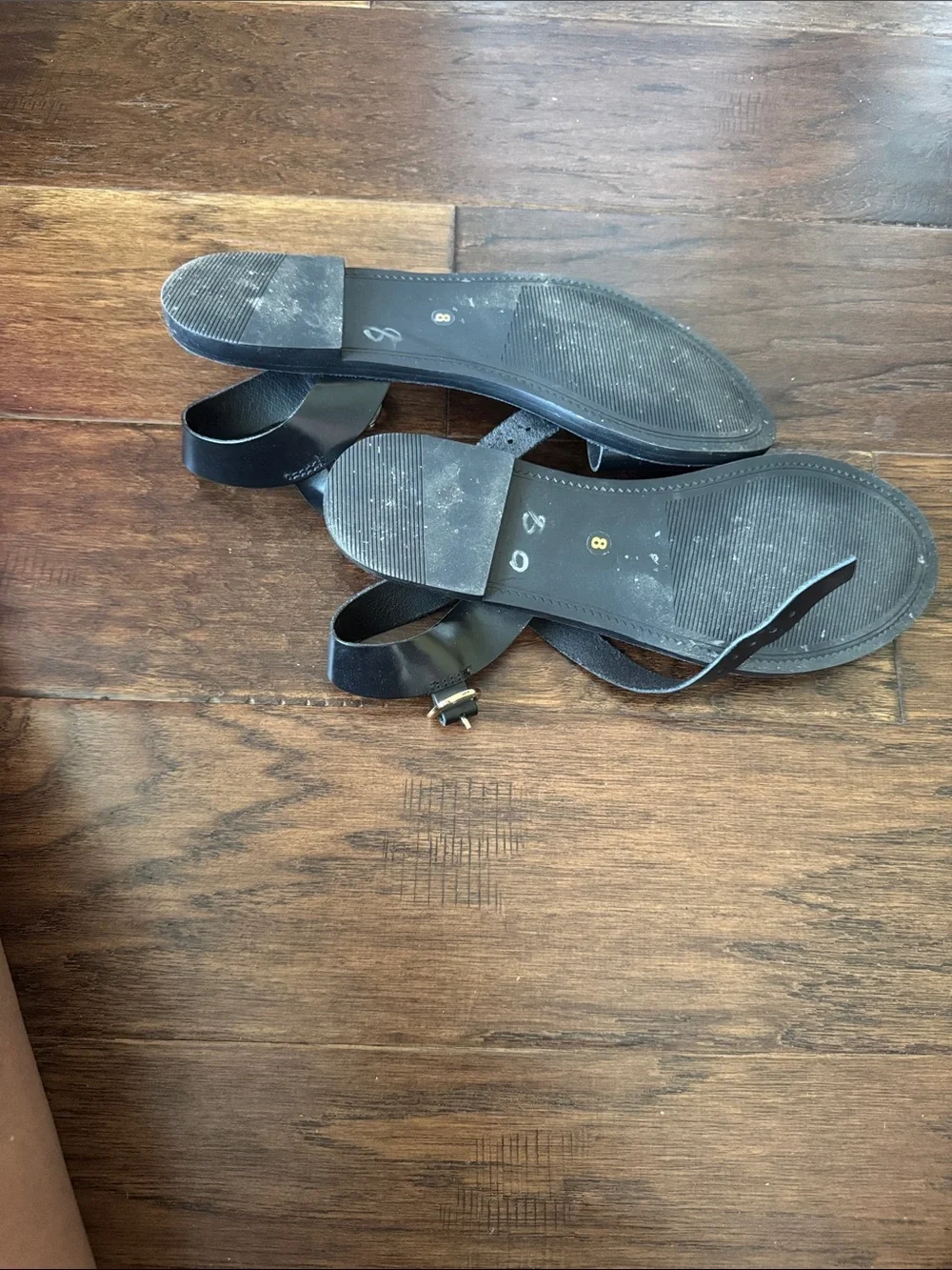 Steve Madden Donddi Sandals